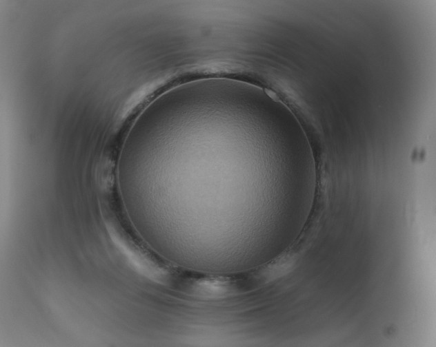 X0000110970164200906191344