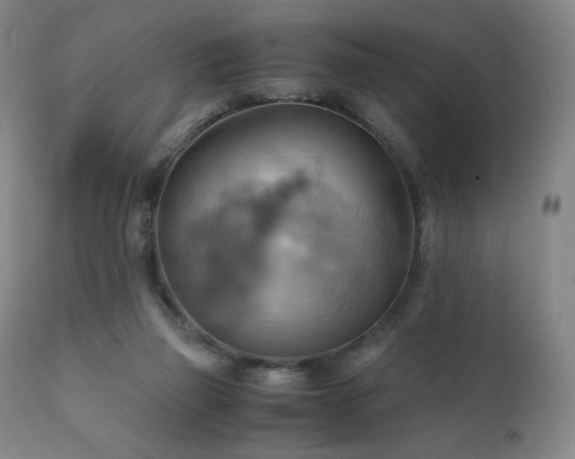 X0000110970165200906191344