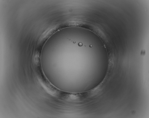 X0000110970166200906191344