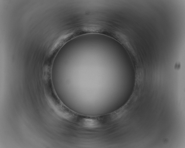 X0000110970167200906191344