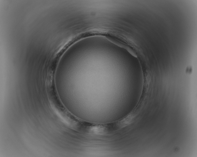 X0000110970168200906191344