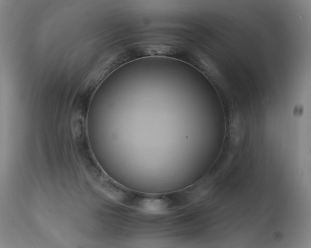 X0000110970169200906191344