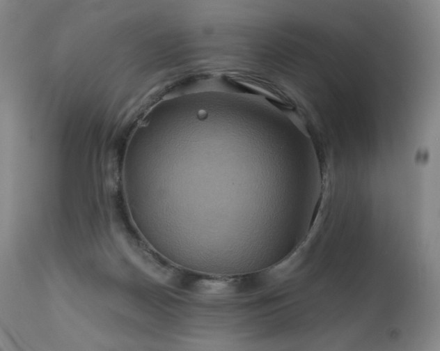 X0000110970170200906191344