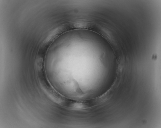 X0000110970171200906191344