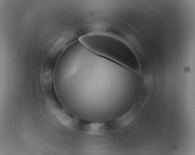 X0000110970172200906191344