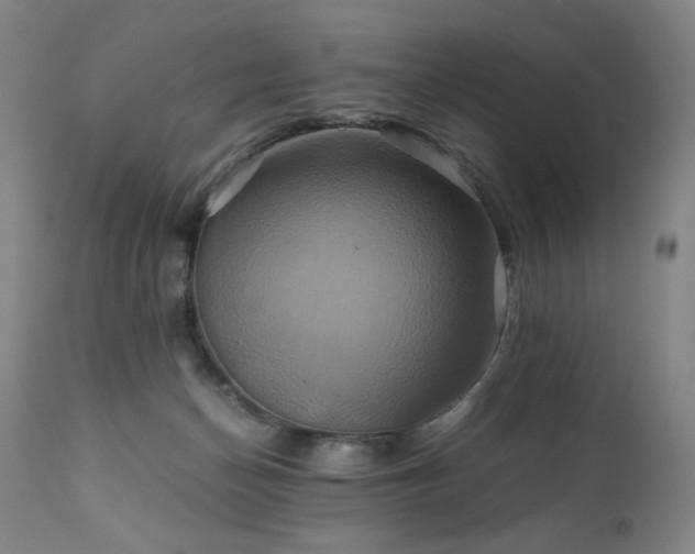 X0000110970174200906191344