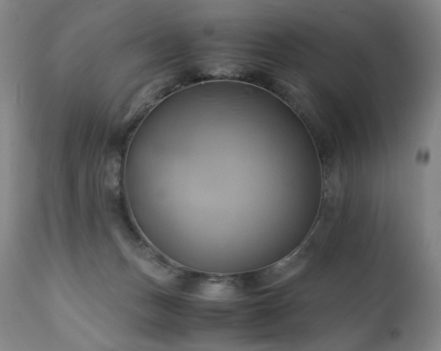 X0000110970175200906191344