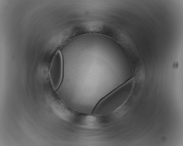 X0000110970176200906191344