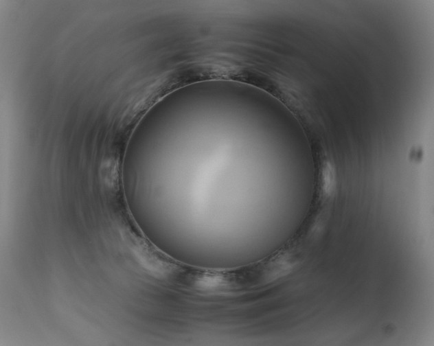 X0000110970177200906191344