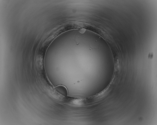 X0000110970178200906191344