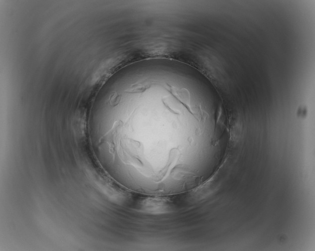 X0000110970179200906191344