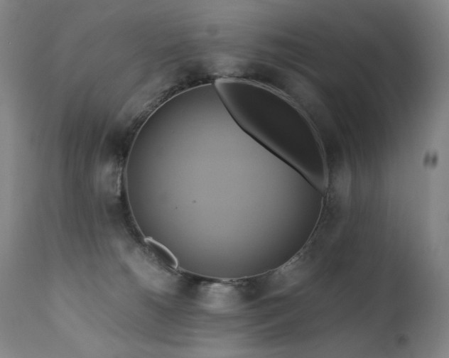 X0000110970180200906191344