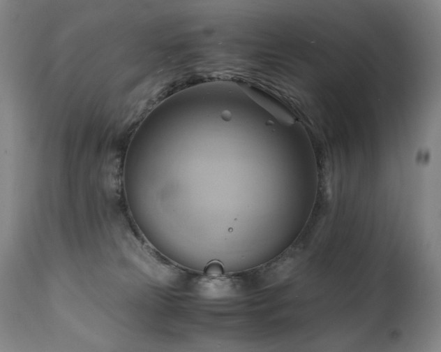 X0000110970181200906191344