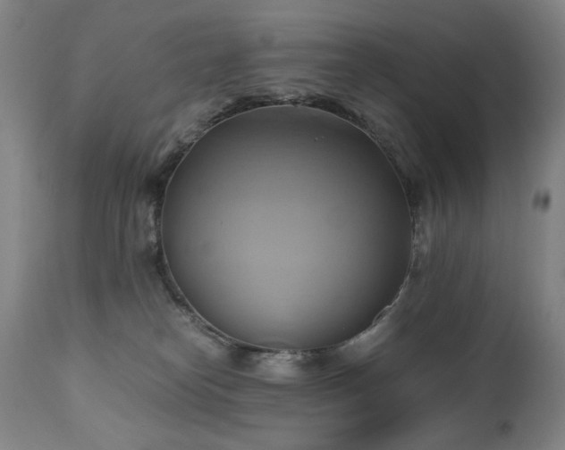 X0000110970182200906191344