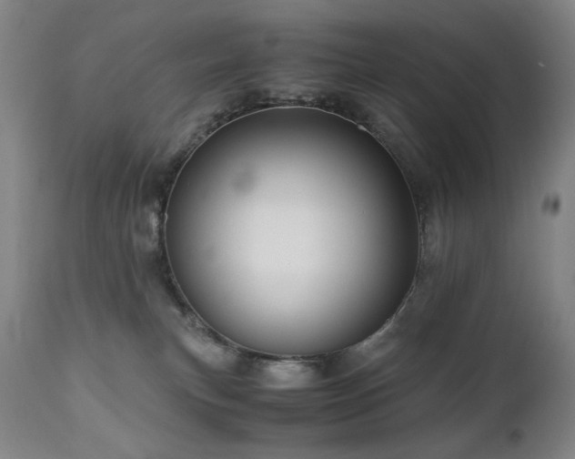 X0000110970183200906191344