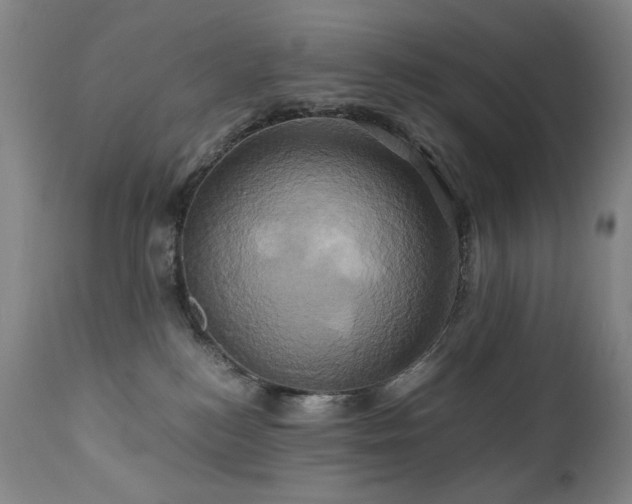 X0000110970184200906191344