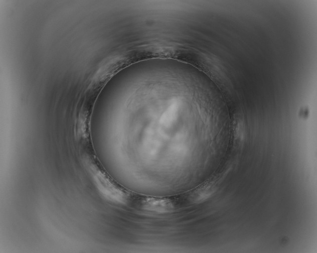 X0000110970185200906191344