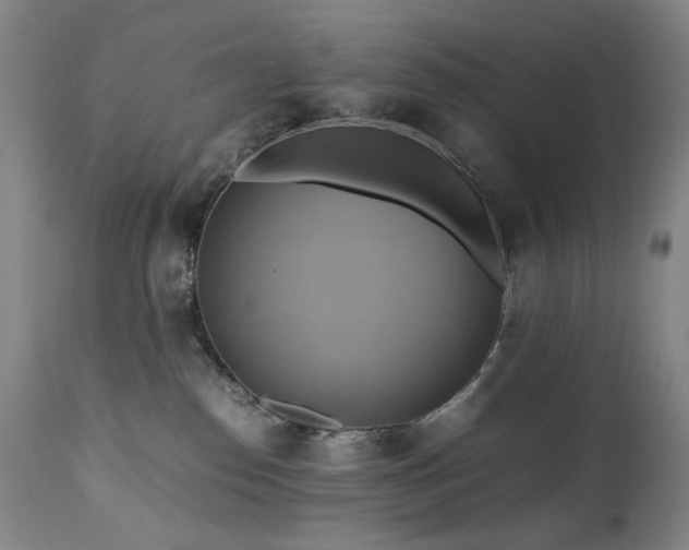 X0000110970186200906191344