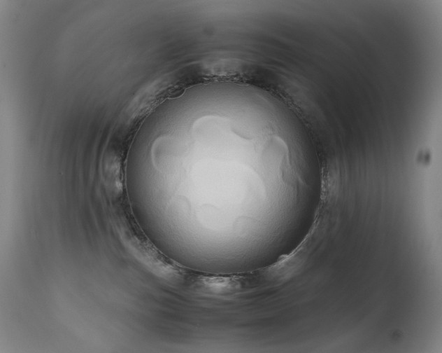 X0000110970187200906191344