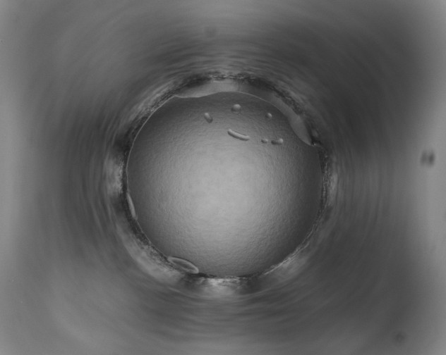 X0000110970188200906191344