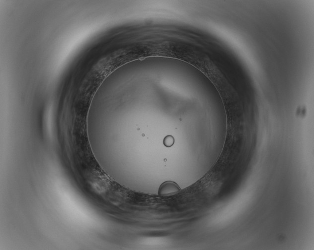 X0000110970189200906191344