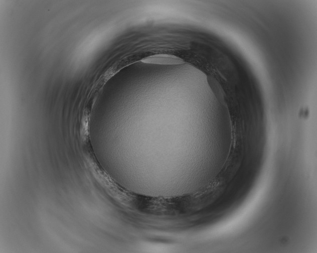 X0000110970190200906191344