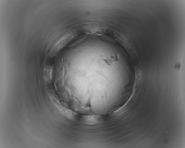 X0000110970191200906191344