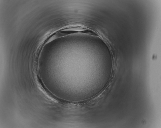 X0000110970193200906191343