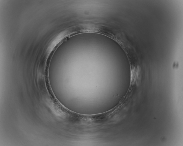 X0000110970195200906191343