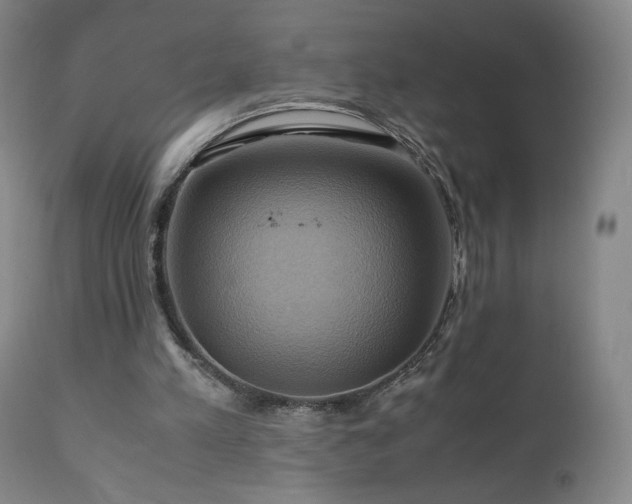 X0000110970197200906191343