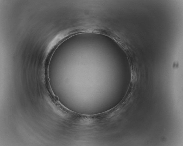 X0000110970198200906191343