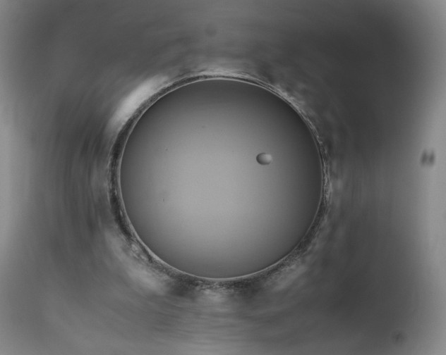 X0000110970199200906191343