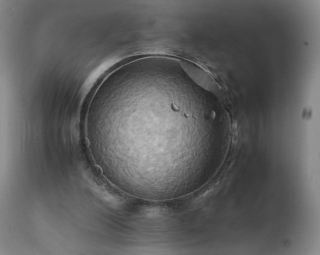 X0000110970200200906191343