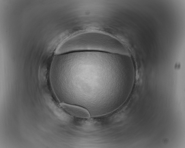 X0000110970201200906191343