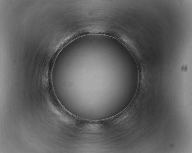 X0000110970202200906191343