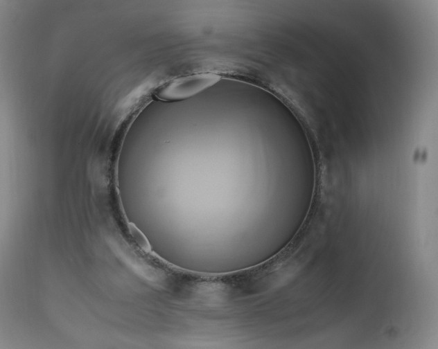 X0000110970203200906191343