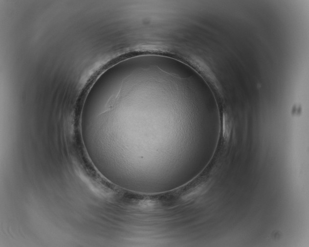 X0000110970204200906191343