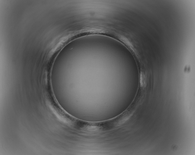 X0000110970205200906191343