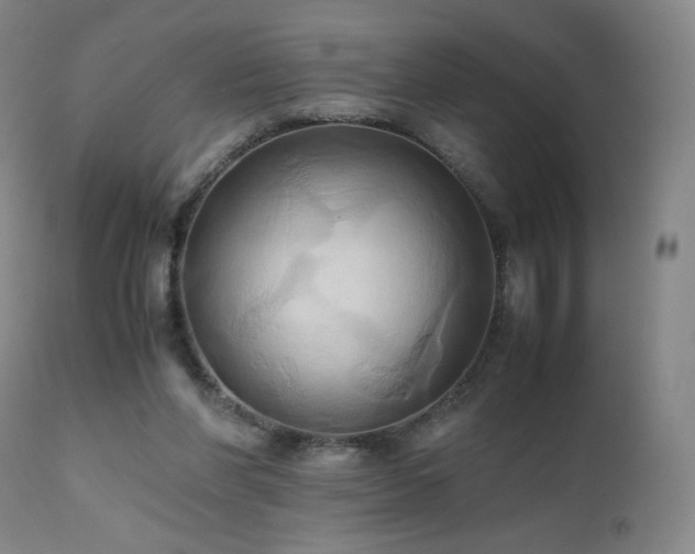 X0000110970206200906191343