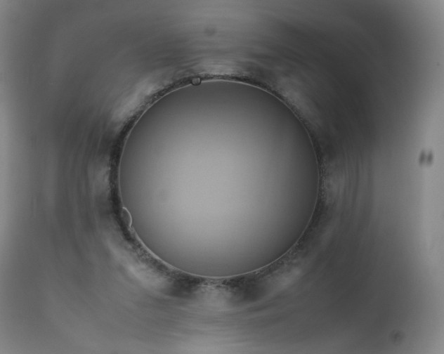 X0000110970207200906191343