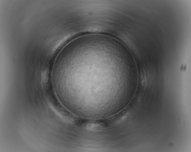 X0000110970208200906191343