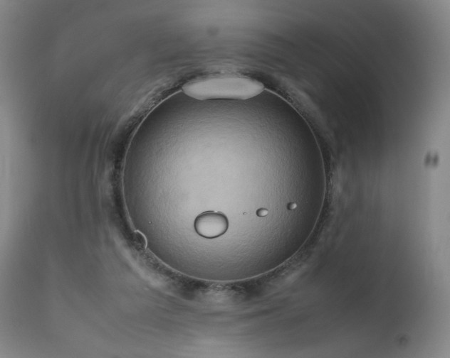 X0000110970209200906191343