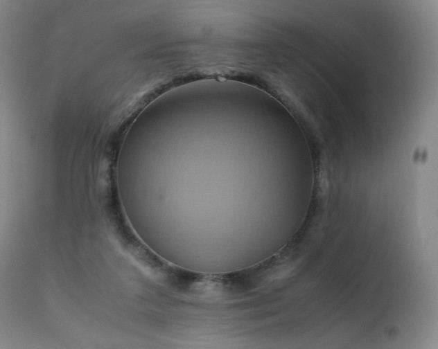 X0000110970211200906191343