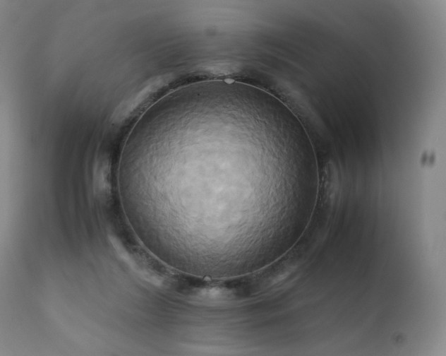 X0000110970212200906191343