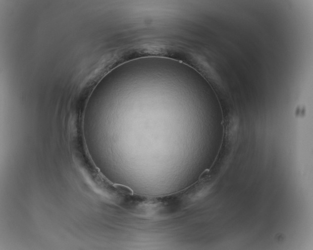 X0000110970213200906191343