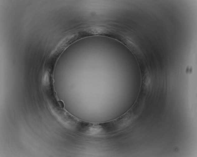 X0000110970214200906191343