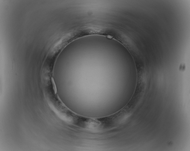 X0000110970215200906191343