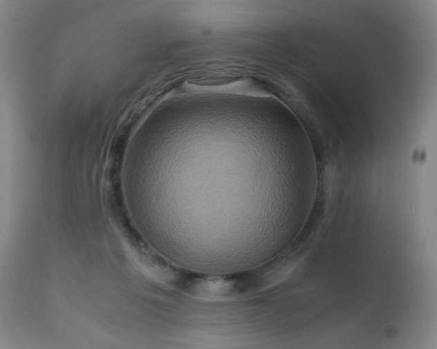 X0000110970217200906191343