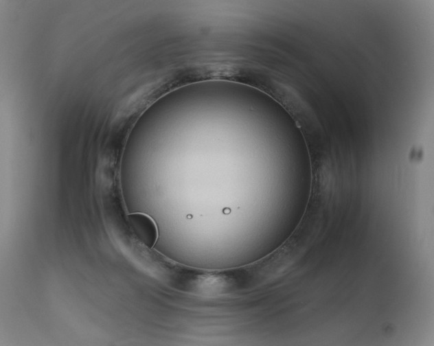 X0000110970218200906191343