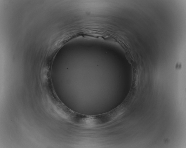 X0000110970219200906191343